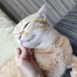 Huyền Ngô profile icon