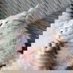 Huyền Ngô profile icon