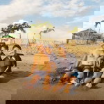 Momzkie Lucas - Calonzo profile icon