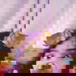 Myce Buenaventura profile icon