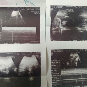 duday❣️ profile icon