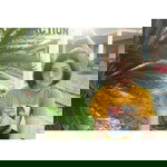 Rarinda Kongsantia profile icon