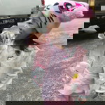 SYAFIERA NAJJLA Syaharudin profile icon