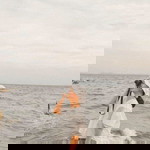 Jira Pe profile icon