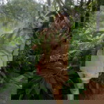 Wanwipha Saisap profile icon