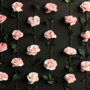 feliana gunawan profile icon