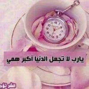 Antikawulan Antikawulan profile icon