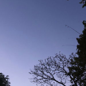 nothing profile icon