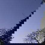 nothing profile icon