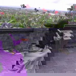 Naiyya Nur Inayah profile icon