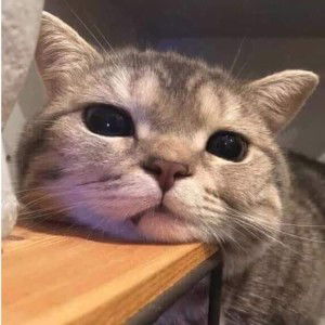 Gambum Chutikan profile icon