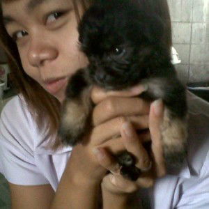 จุฑามาศ จันทร์สอน profile icon