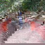 Wipada Kaewsee profile icon