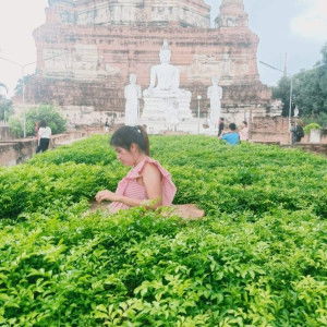 Pennapa Prongurai profile icon