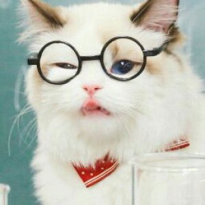 Ronna Nana Rizan Abdullah profile icon