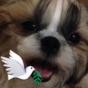 Virginia Espiritu profile icon