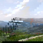 Ampawan Boston profile icon