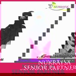 Nik Anisza Mohd Shukri profile icon