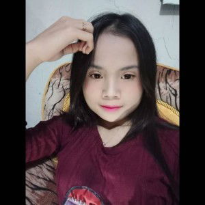 Dini Sapitrii profile icon