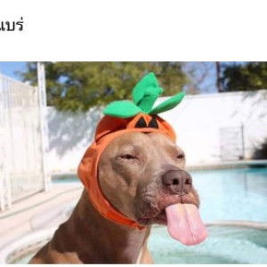 Baby yam profile icon