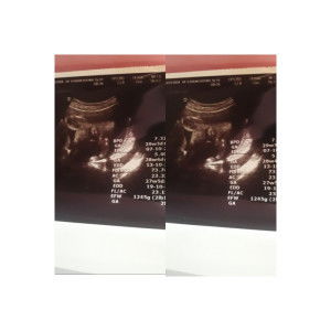 puspa indah profile icon