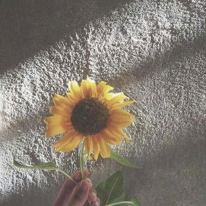 sharma amalia profile icon