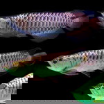 Anisa Oktavia profile icon