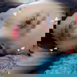 ayuu safitri profile icon