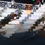 Deppimamaocha profile icon