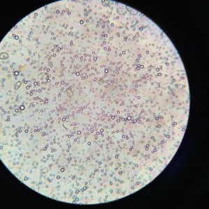 Nur hafizah profile icon