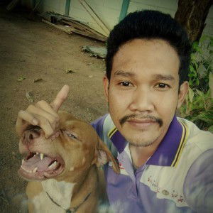 ยังคง เดินตามหาฝัน profile icon