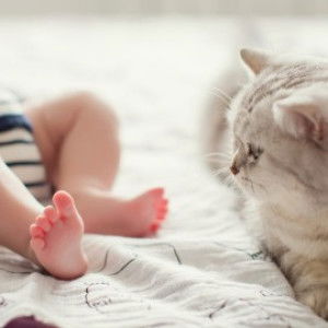 Mk Stranger profile icon