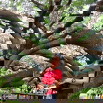 Ying Wipaporn profile icon