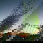 Shynta profile icon