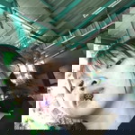 Biw Wanwisa profile icon