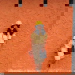 Gade Garagade profile icon