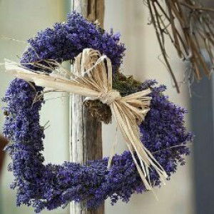 ha Thanh profile icon