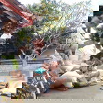 sari suarniti profile icon