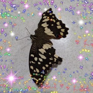 Marife Santiago Quitalig profile icon