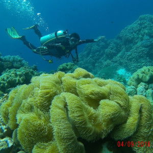 Windarti Windarti profile icon