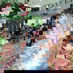 Anna Lianna profile icon