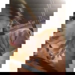 Nivoj Aisac profile icon
