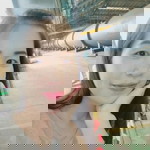 Phimpa Mint profile icon