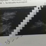 Pimpisa Tadsamran profile icon