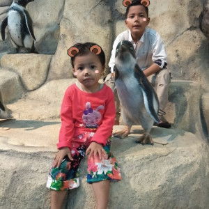 Afti Arengga Novela profile icon