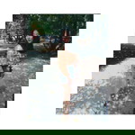 Sutthida Aunphak profile icon