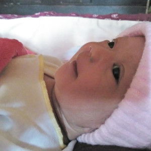 Ilma L Saadah profile icon