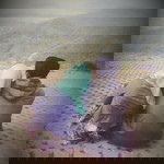 Lestari Lestari profile icon