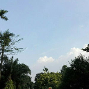 Ummu U² profile icon