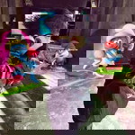 Lermor Cruz profile icon